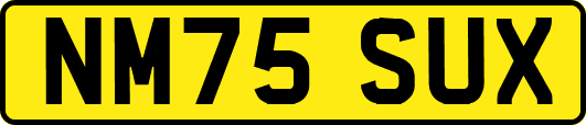 NM75SUX