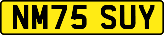 NM75SUY