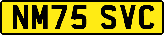 NM75SVC