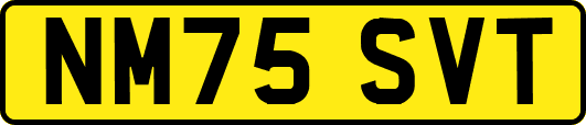 NM75SVT