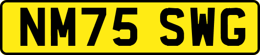 NM75SWG