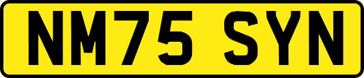 NM75SYN