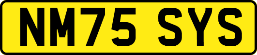 NM75SYS
