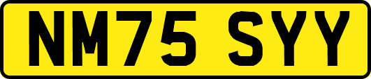 NM75SYY