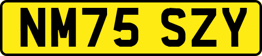 NM75SZY