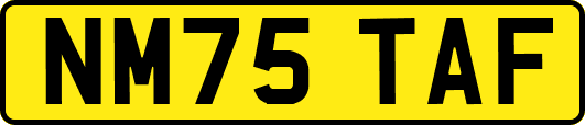NM75TAF