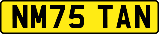 NM75TAN