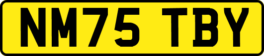 NM75TBY