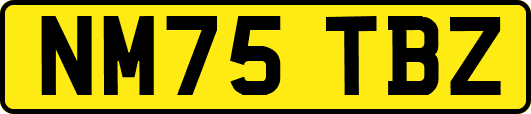 NM75TBZ