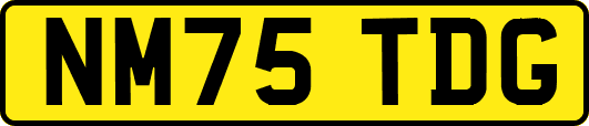 NM75TDG