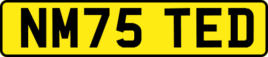 NM75TED