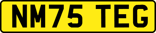 NM75TEG