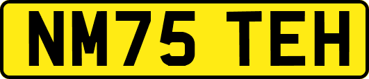 NM75TEH