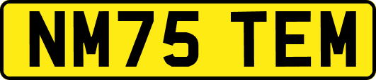NM75TEM