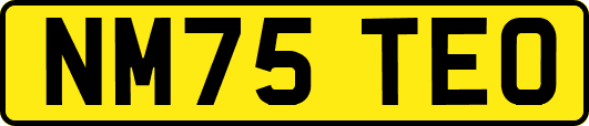 NM75TEO