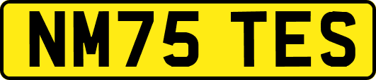 NM75TES
