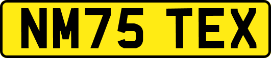 NM75TEX