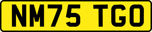 NM75TGO