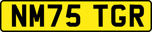 NM75TGR