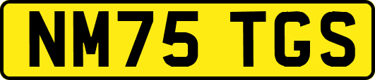 NM75TGS