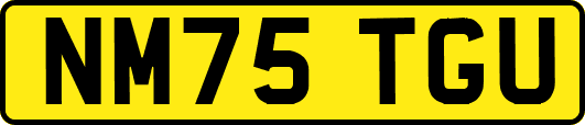 NM75TGU