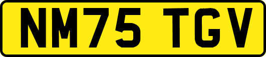 NM75TGV