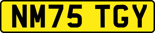 NM75TGY
