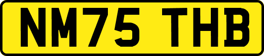 NM75THB