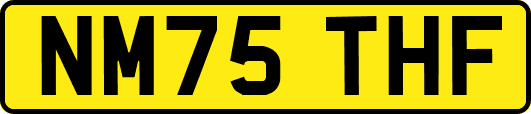 NM75THF