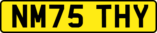 NM75THY