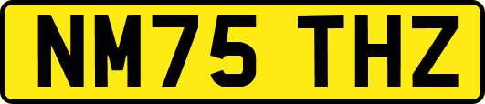 NM75THZ