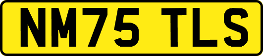 NM75TLS