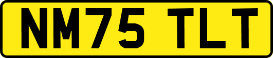 NM75TLT