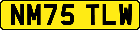 NM75TLW