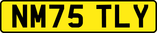 NM75TLY