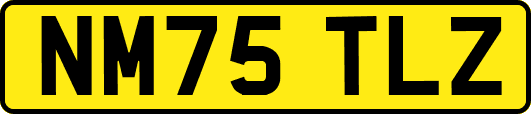 NM75TLZ