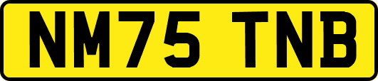 NM75TNB