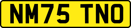 NM75TNO
