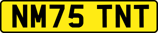 NM75TNT