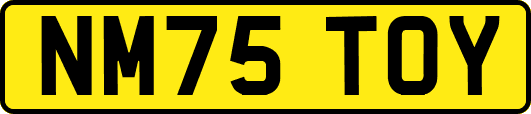 NM75TOY