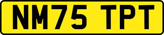 NM75TPT