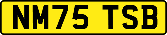 NM75TSB