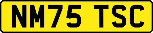 NM75TSC