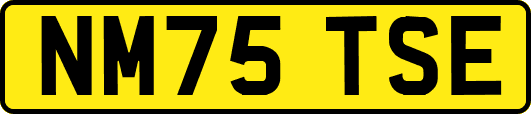 NM75TSE