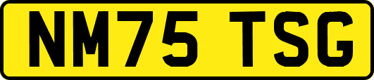 NM75TSG