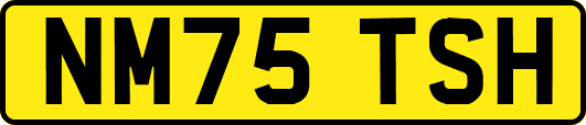 NM75TSH