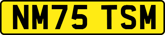 NM75TSM
