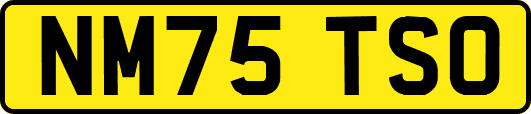 NM75TSO