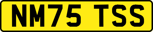 NM75TSS