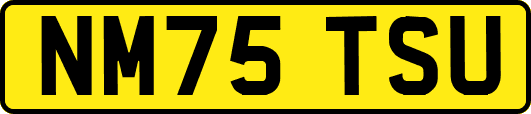 NM75TSU